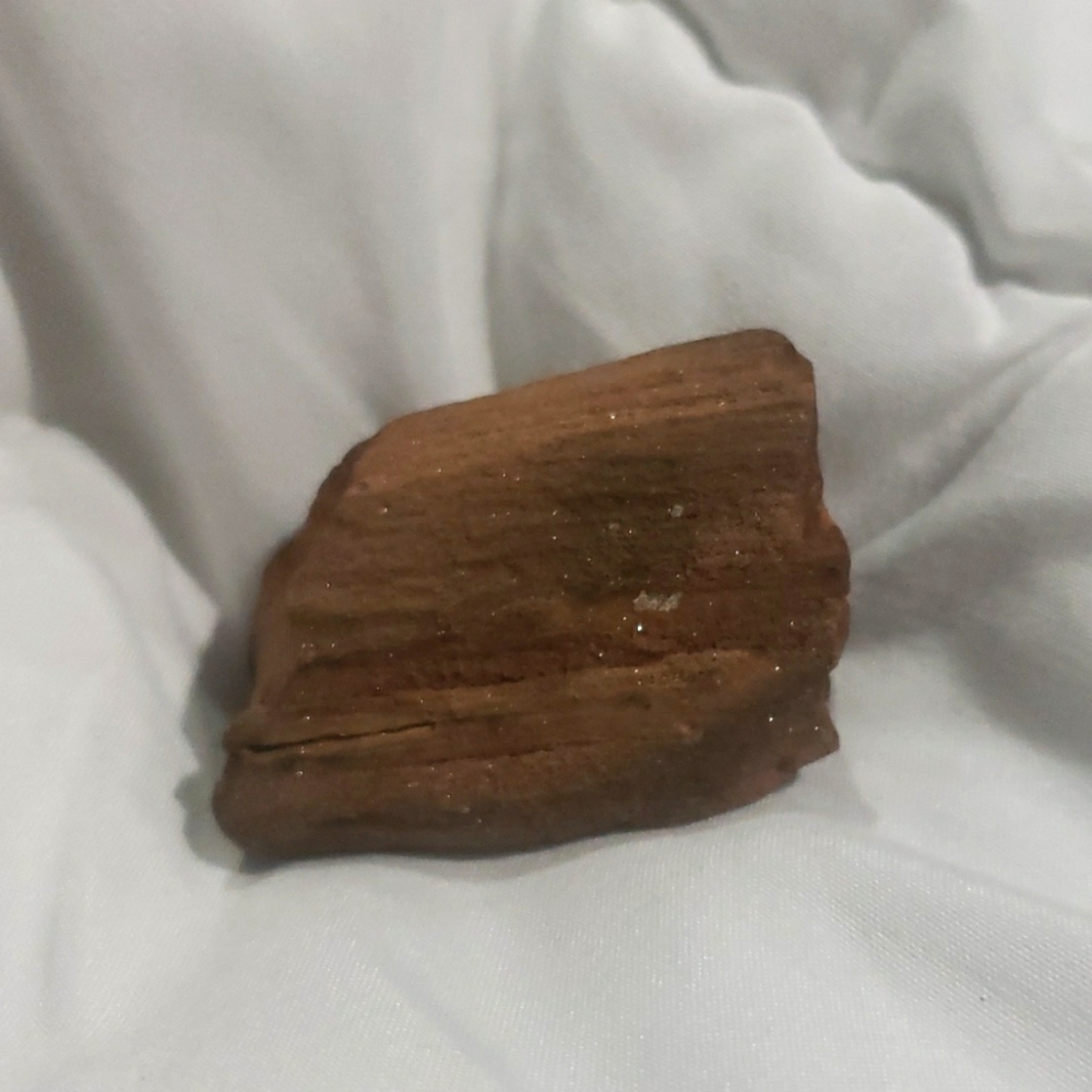 Petrifide piece of wood